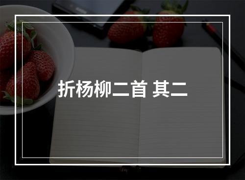 折杨柳二首 其二