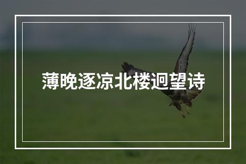 薄晚逐凉北楼迥望诗