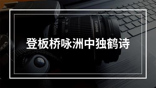 登板桥咏洲中独鹤诗