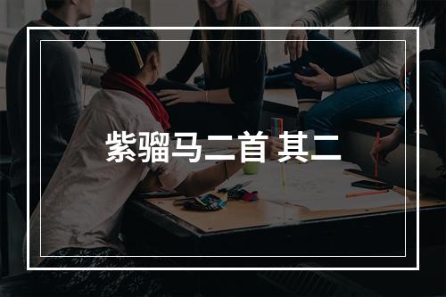 紫骝马二首 其二