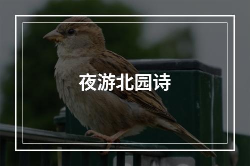夜游北园诗