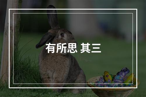 有所思 其三