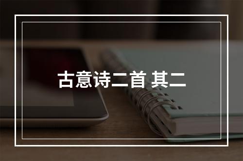 古意诗二首 其二
