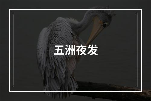五洲夜发