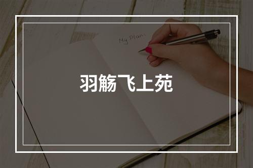 羽觞飞上苑