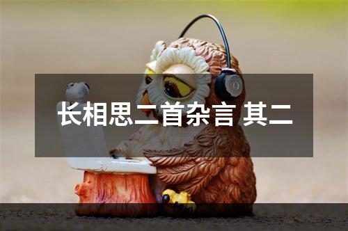长相思二首杂言 其二