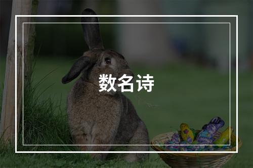 数名诗