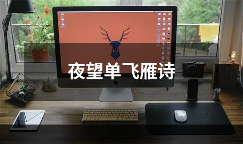 夜望单飞雁诗