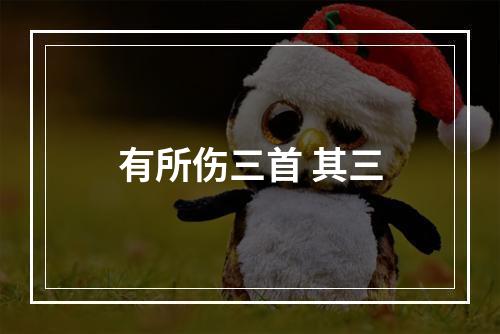 有所伤三首 其三