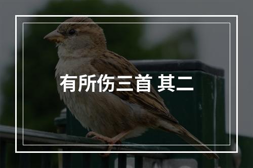 有所伤三首 其二