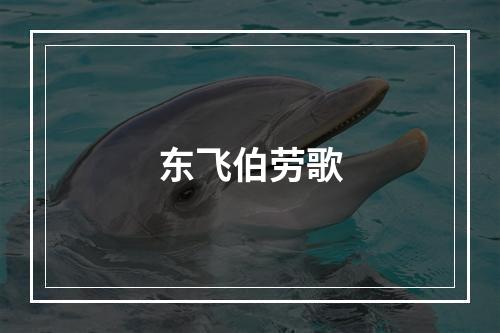 东飞伯劳歌