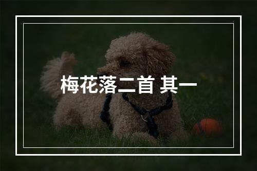梅花落二首 其一