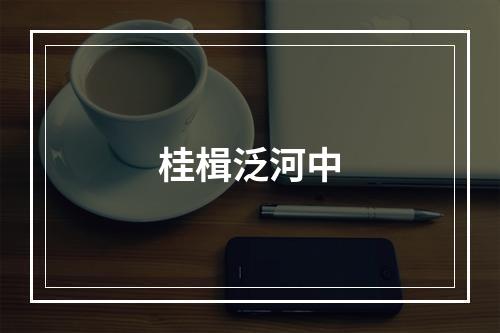 桂楫泛河中
