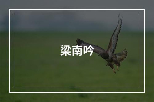 梁南吟