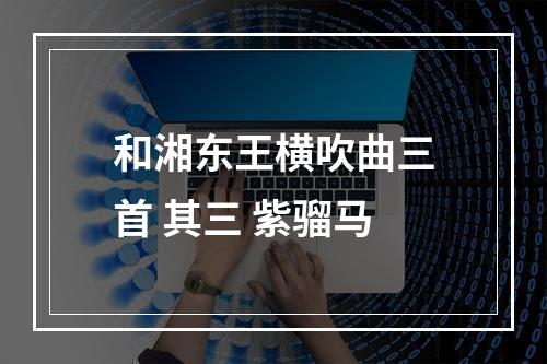 和湘东王横吹曲三首 其三 紫骝马