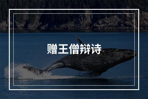 赠王僧辩诗