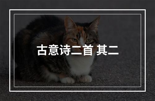 古意诗二首 其二