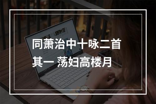 同萧治中十咏二首 其一 荡妇高楼月
