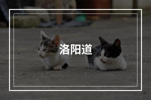 洛阳道