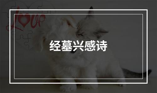 经墓兴感诗