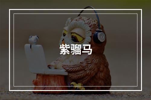紫骝马