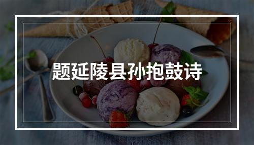 题延陵县孙抱鼓诗