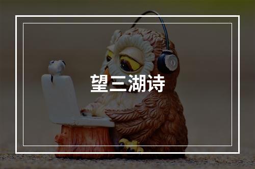 望三湖诗