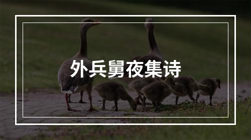 外兵舅夜集诗