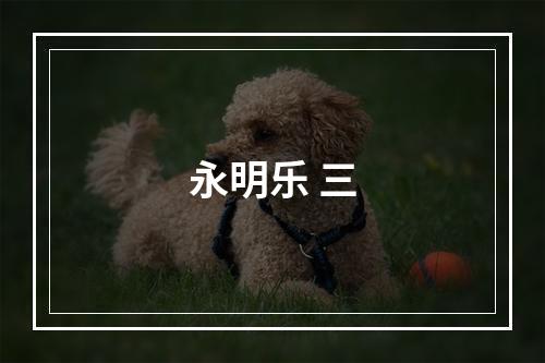 永明乐 三