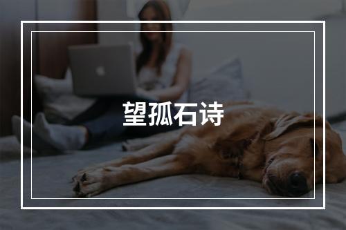 望孤石诗