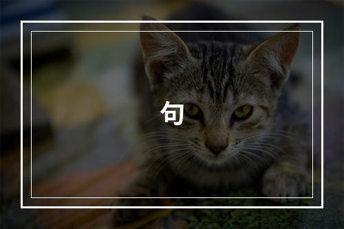 句