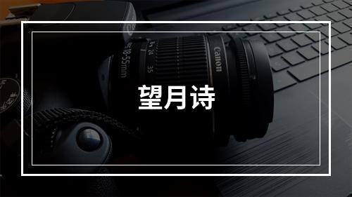 望月诗
