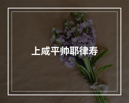 上咸平帅耶律寿