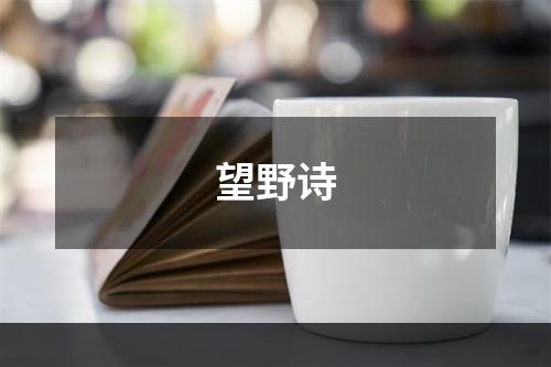 望野诗