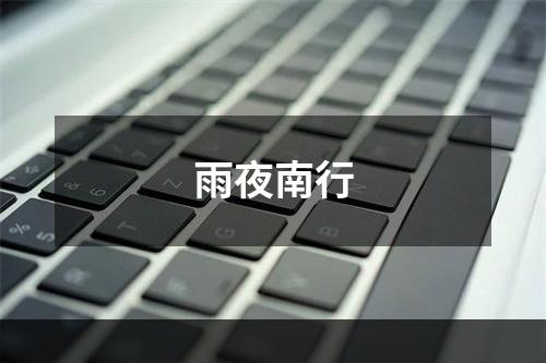雨夜南行