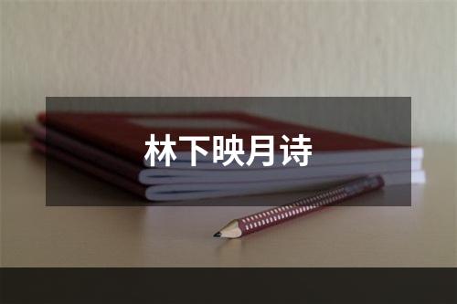 林下映月诗