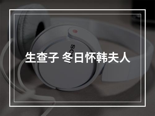 生查子 冬日怀韩夫人
