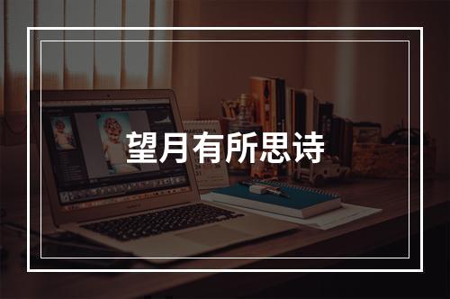 望月有所思诗