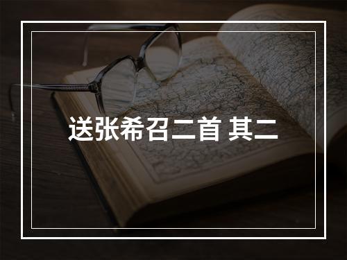 送张希召二首 其二