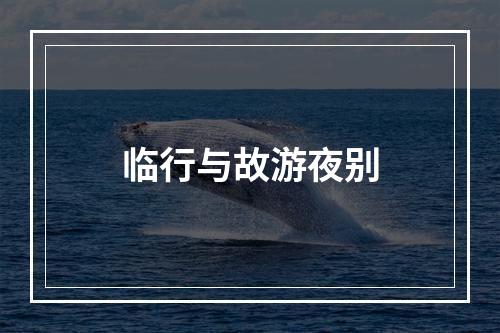 临行与故游夜别
