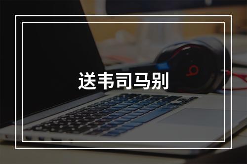 送韦司马别