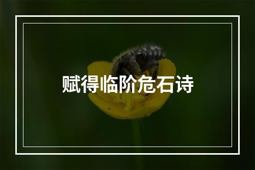 赋得临阶危石诗