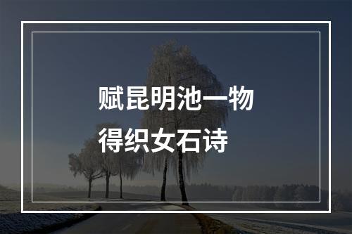 赋昆明池一物得织女石诗