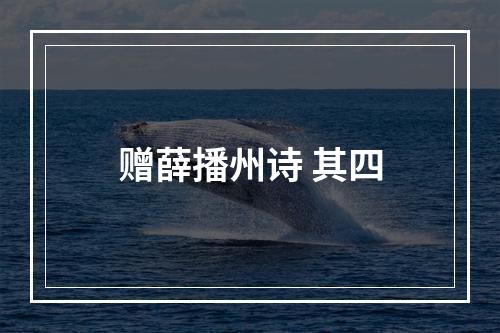 赠薛播州诗 其四