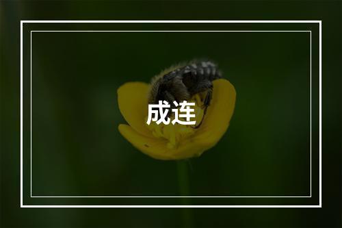 成连