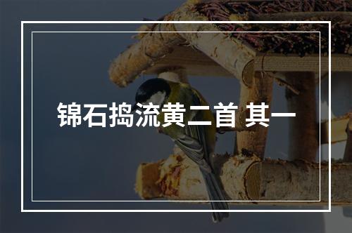 锦石捣流黄二首 其一