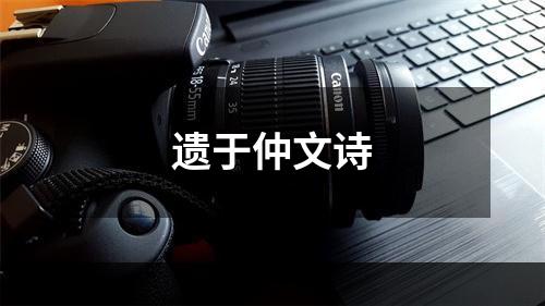遗于仲文诗