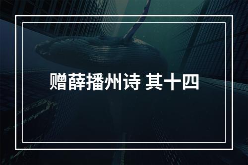 赠薛播州诗 其十四