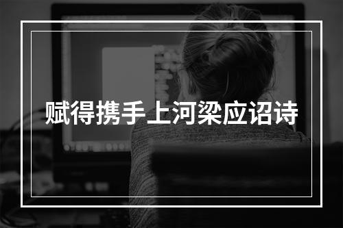 赋得携手上河梁应诏诗