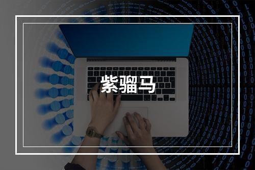 紫骝马